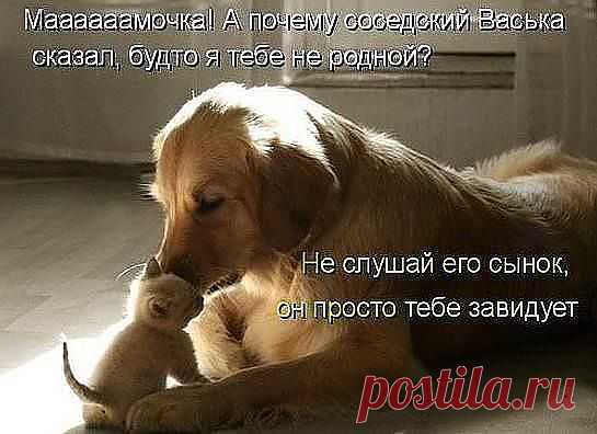 (48) Одноклассники