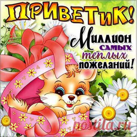 Открытки Привет милая  Открытка Привет скачать