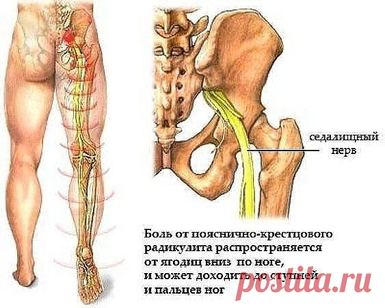 ПЕРВАЯ ПОМОЩЬ И НЕСКОЛЬКО НЕХИТРЫХ ПРАВИЛ ПРИ 