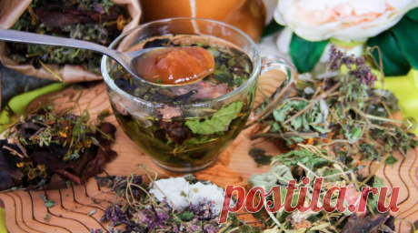 Псориаз прекрасно лечится травами — фитотерапевт Любовь Салий