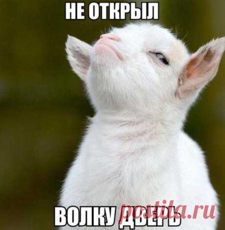 Приколы без границ | ВКонтакте