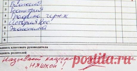 Записи в дневниках / Приколы