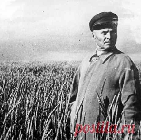Письмо Сталину от героя СССР подполковника государственной безопасности Орловского