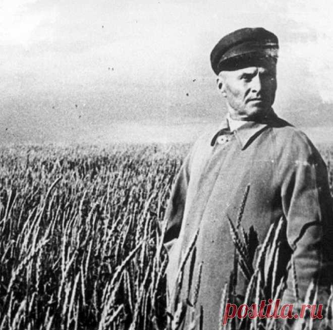 Письмо Сталину от героя СССР подполковника государственной безопасности Орловского