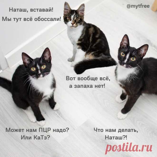 Наташа,вставай!