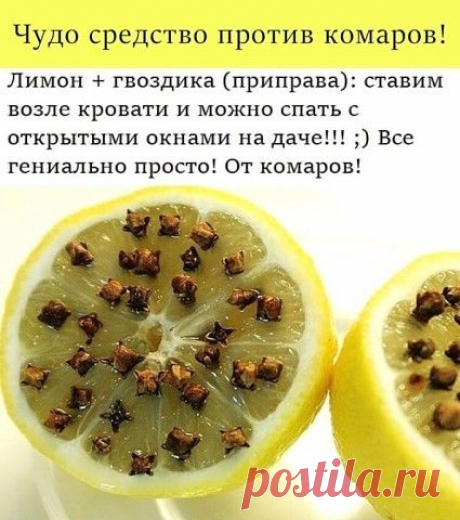 Чудо средство от комаров!