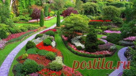 Миксбордеры: красивые варианты оформления ландшафтного дизайна
Искусство ландшафтного дизайна предлагает универсальное решение, при котором любой участок, дача или сад будет выглядеть ухоженным и радующим глаз. Это решение называется искусством комбинировать р…