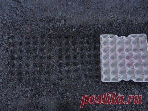 Простейший способ разметки при посадке рассады и семян | Делаем сами