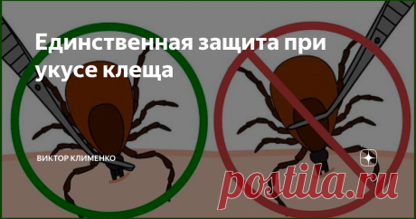 Единственная защита при укусе клеща тяжелые последствия после укуса клеща можно предотвратить только одним
