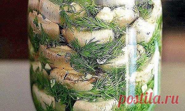 Малосольные шампиньоны - быстро и вкусно! | Sladkij-domik.ru | Яндекс Дзен