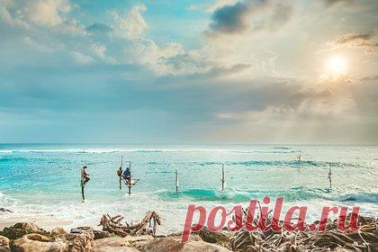 Раскрыта стоимость отдыха на популярных курортах Азии для россиян. Туроператоры подготовили россиянам выгодные пакетные туры в страны Азии, среди которых Шри-Ланка, Вьетнам и Таиланд. Так, ANEX предлагает туристам девятидневную путевку на Шри-Ланку с размещением в трехзвездочном отеле на завтраках за 115 тысяч рублей на двоих. Тур сформирован на прямом рейсе AZUR аir.