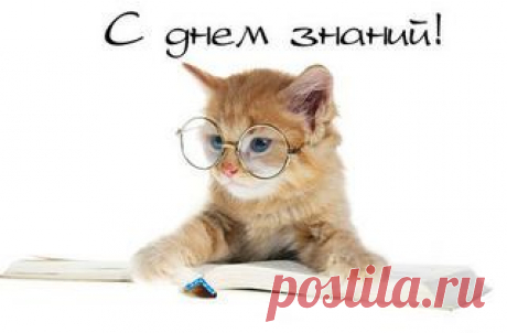 Мой Мир@Mail.Ru