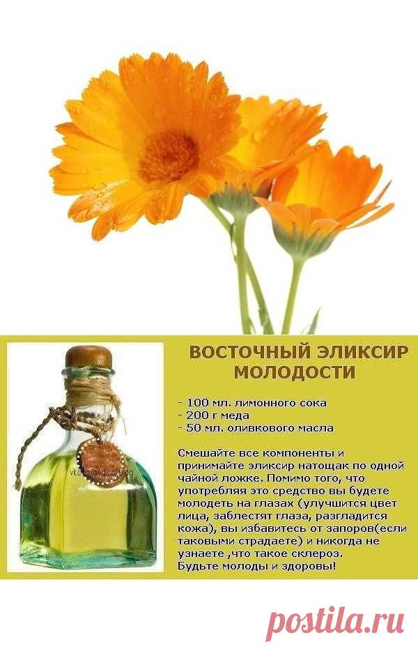 НАСТОЙКА МОЛОДОСТИ, ЗДОРОВЬЯ И КРАСОТЫ!