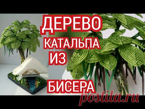 Идея из бисера 2 в 1. Катальпа из бисера - салфетница.