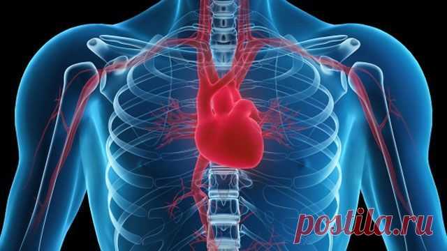 Ранняя диагностика сердечно-сосудистой системы