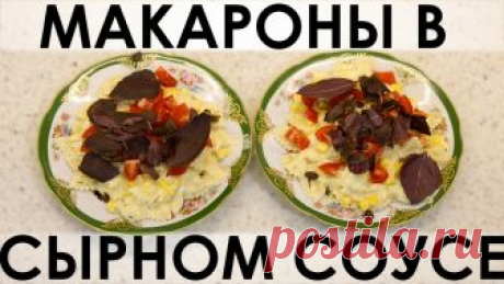 101. Макароны в сырном соусе: принципиально иной уровень привычных макарон с сыром :) — Кулинарная книга - рецепты с фото