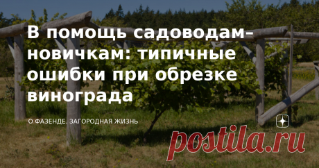 В помощь садоводам–новичкам: типичные ошибки при обрезке винограда Уход за виноградом предусматривает обязательную ежегодную обрезку куста. Это санитарное мероприятие защищает культуру от болезней и вредителей. К тому же удаление лишних побегов омолаживает растение и увеличивает его урожайность. Однако садоводы-новички, формируя лозу, часто допускают оплошности. Рекомендую к прочтению: Расстояния между помидорами — что важно знать, чтобы улучшить урожай Самые распространен...