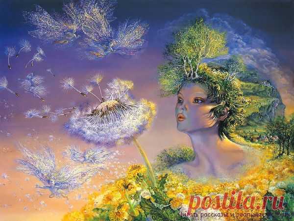 Сказочница - Читать рассказы