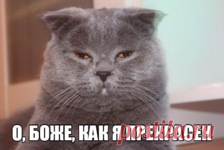 Мой Мир@Mail.Ru