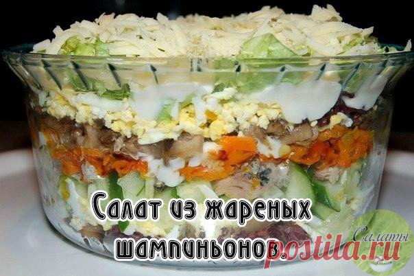 САМЫЙ "НЕЖНЫЙ" САЛАТ, НУ, ОЧЕНЬ ЖЕНСКИЙ САЛАТ

1 яйцо вареное.
1 маленькая луковица.
1 средняя свежая морковь.
1 большое или 2 маленьких яблока.
20-30 г сыра, любой какой нравится.