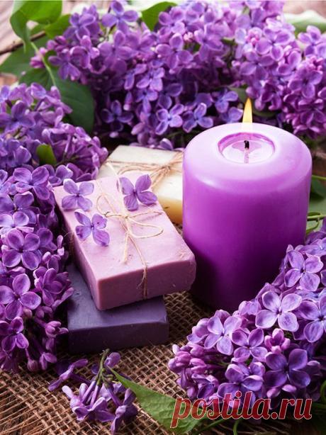 (93) Pinterest