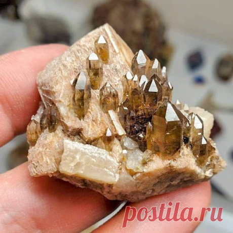 Um pequeno castelo de Quartzo Smoky aponta sobre Feldspar com Green Mica e Schorel.