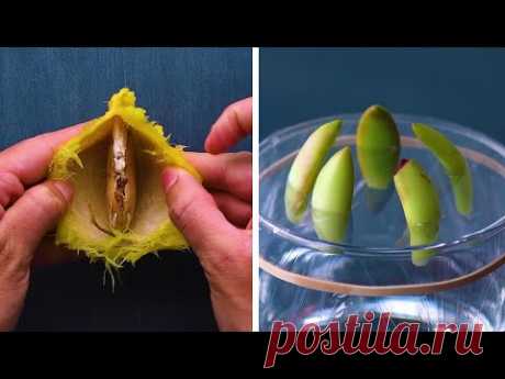 13 Genius Gardening Hacks That You’ll Be Glad to Know! Blossom - YouTube