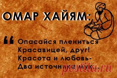 омар.jpg (780×520)