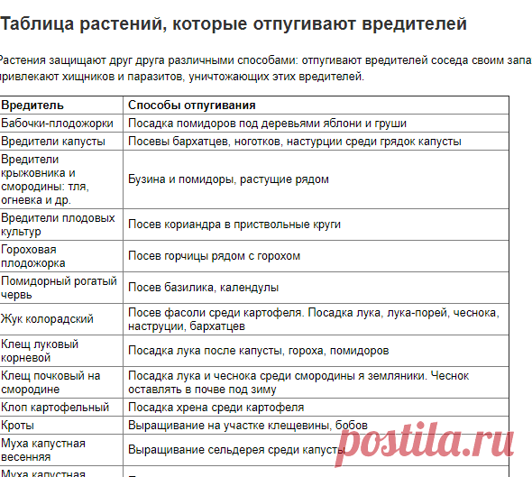 Таблица растений, которые отпугивают вредителей | Vparnike.ru