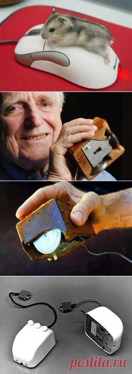 История изобретения. Компьютерная мышь