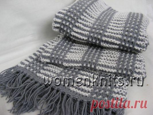 Мужской двухцветный шарф спицами