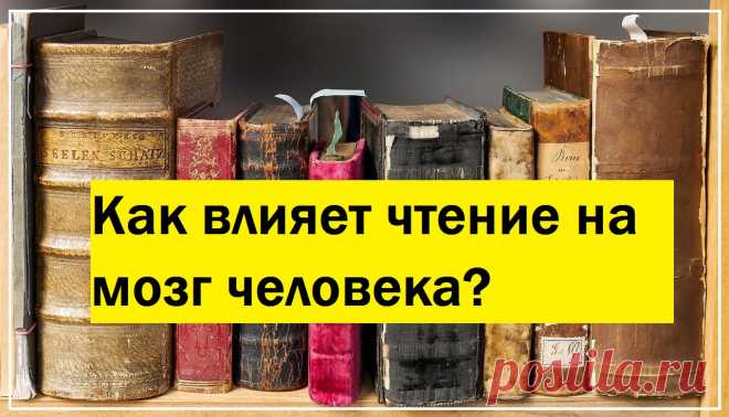 Как влияет чтение на мозг человека?

Есть немало причин для того, чтобы регулярно читать книги. Так, эта замечательная привычка позволяет надолго сохранить ясность ума. Также давно замечено, что у читающих людей гораздо выше шанс построить успешную карьеру. Но польза чтения на этом не ограничивается. Давайте узнаем, что еще дает нам эта привычка.