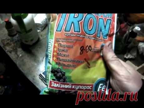 Приготовление раствора железного купороса.