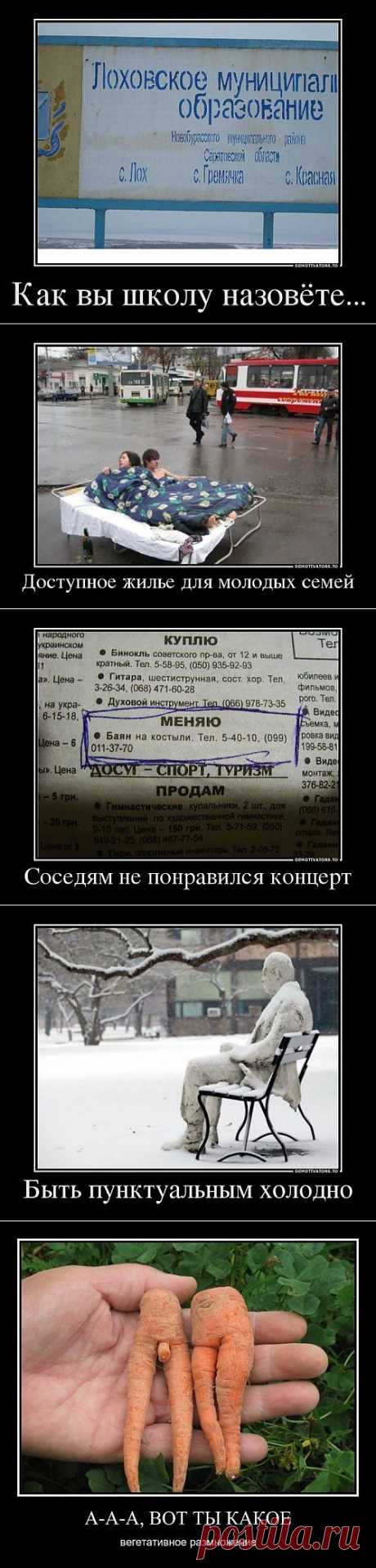 Демотиваторы пятницы | Улетные картинки