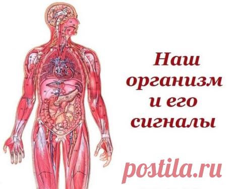 Google+
