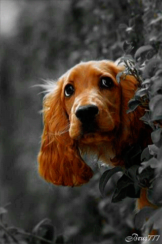 Public - Google+