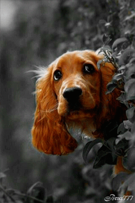 Public - Google+