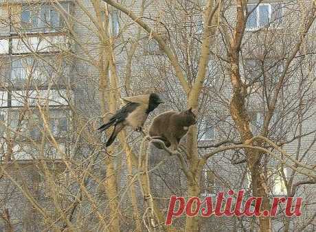 КРАСОТЫ ПРИРОДЫ | ВКонтакте