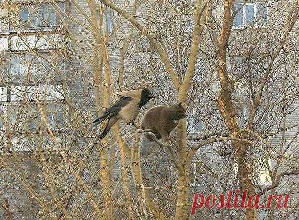 КРАСОТЫ ПРИРОДЫ | ВКонтакте