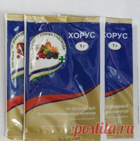 "Хорус" - фунгицид: отзывы, инструкция по применению