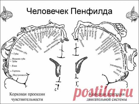 Любите вязать, но зрение слабеет? Давайте поддержим ваши глаза! | Лариса Цуркан | Дзен