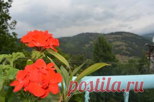 Guest House 