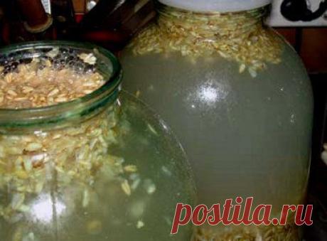 Березовый сок с ячменем и медом | Заготовки