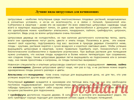 Лучшие виды цитрусовых для начинающих