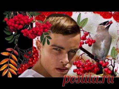 Игорь Слуцкий  Рябина