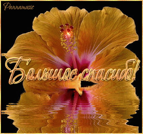 Большое спасибо! Анимашки в блоги. - Спасибо в картинках - Анимационные блестящие картинки GIF