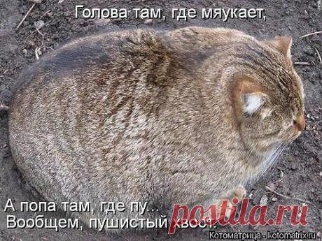 VAL* ВЕСЕЛАЯ ФЕРМА* — «не перепутай...» на Яндекс.Фотках