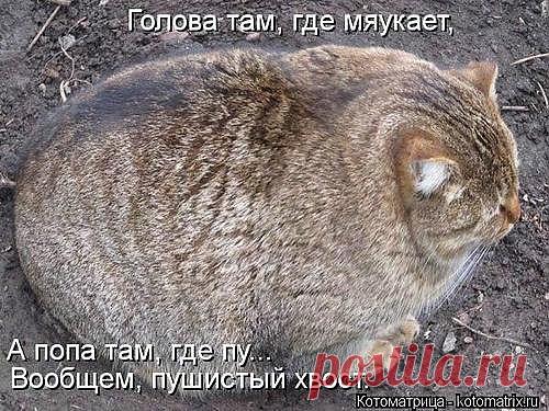 VAL* ВЕСЕЛАЯ ФЕРМА* — «не перепутай...» на Яндекс.Фотках