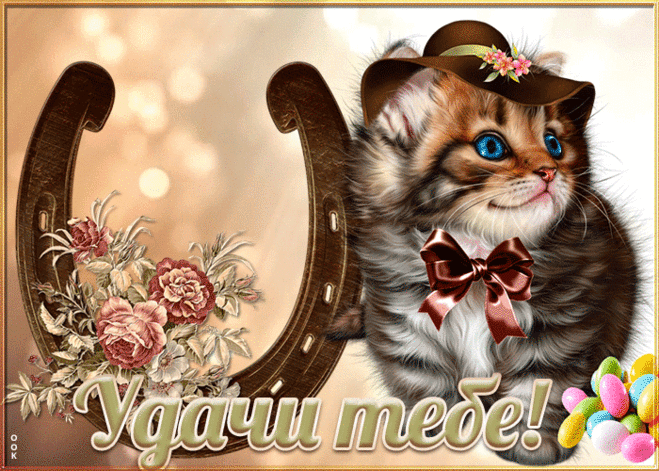 Открытка удачи с котиком