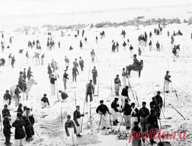 Редкие архивные фотографии со всего мира